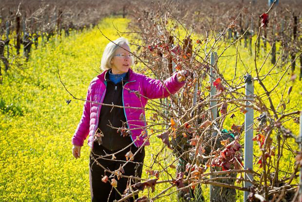 Cathy Corison in her famous Napa Valley vineyards