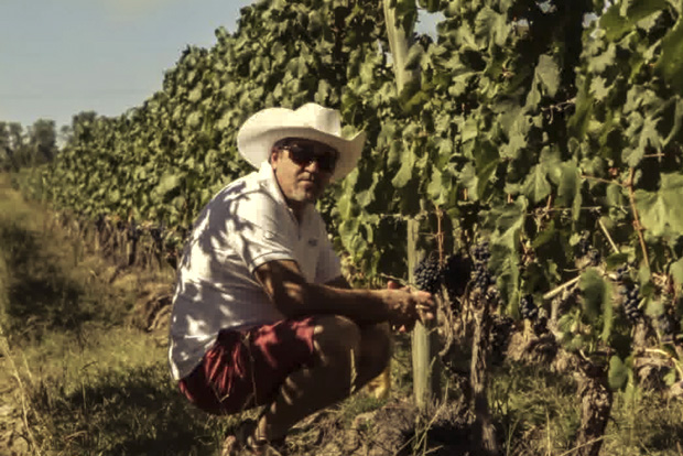 Winemaker Roberto  at the Achaval-Ferrer vineyards