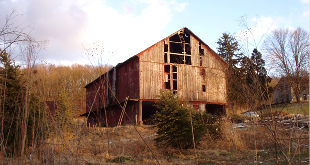 An abandoned barn that was eventually re-purposed into beautiful building materials